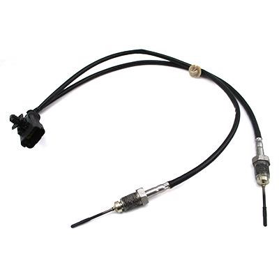 We Parts 411420715 Exhaust gas temperature sensor 411420715: Buy near me in Poland at 2407.PL - Good price!