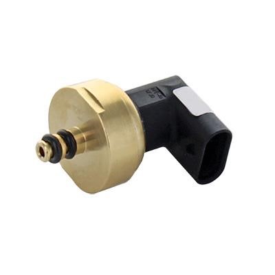 We Parts 411760033 Fuel pressure sensor 411760033: Buy near me at 2407.PL in Poland at an Affordable price!