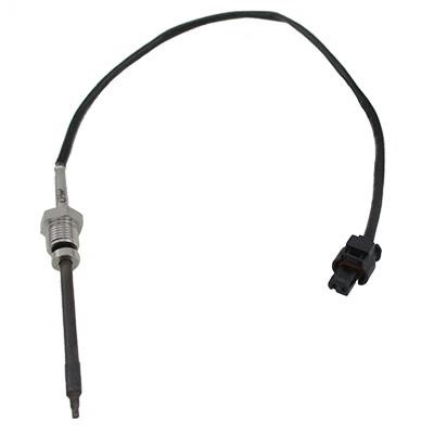 We Parts 411420665 Exhaust gas temperature sensor 411420665: Buy near me in Poland at 2407.PL - Good price!