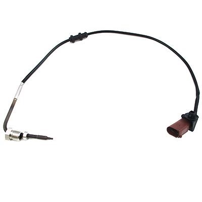 We Parts 411421042 Exhaust gas temperature sensor 411421042: Buy near me in Poland at 2407.PL - Good price!