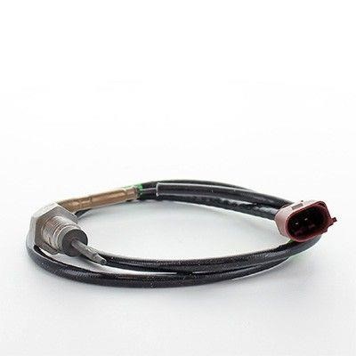 We Parts 411420409 Exhaust gas temperature sensor 411420409: Buy near me in Poland at 2407.PL - Good price!