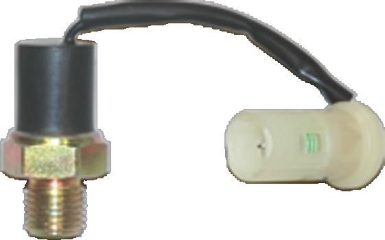 We Parts 411200029 Oil Pressure Switch 411200029: Buy near me in Poland at 2407.PL - Good price!