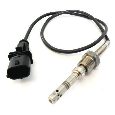 We Parts 411420089 Exhaust gas temperature sensor 411420089: Buy near me at 2407.PL in Poland at an Affordable price!