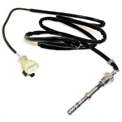 We Parts 411420054 Exhaust gas temperature sensor 411420054: Buy near me in Poland at 2407.PL - Good price!