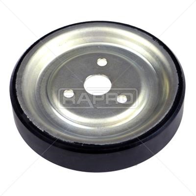 Rapro R54658 Deflection/guide pulley, v-ribbed belt R54658: Buy near me in Poland at 2407.PL - Good price!