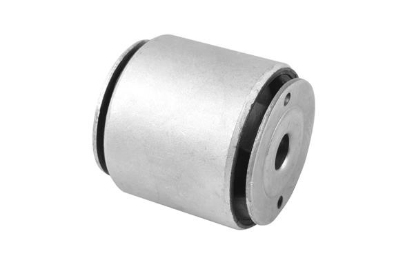 TedGum TED40982 Mounting, differential TED40982: Buy near me in Poland at 2407.PL - Good price!