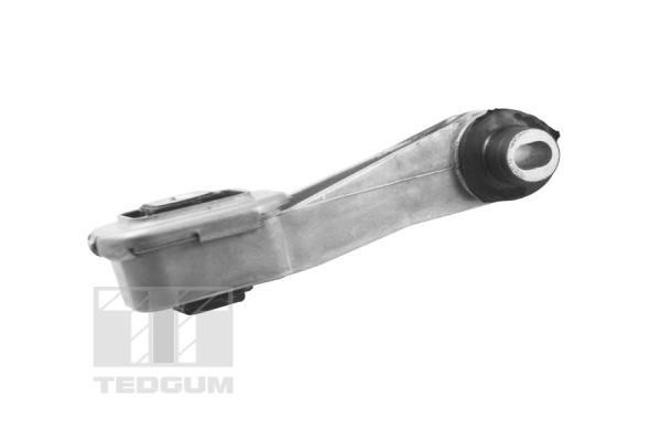 TedGum TED72595 Engine mount TED72595: Buy near me in Poland at 2407.PL - Good price!