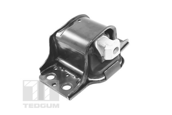 TedGum TED42243 Engine mount TED42243: Buy near me in Poland at 2407.PL - Good price!