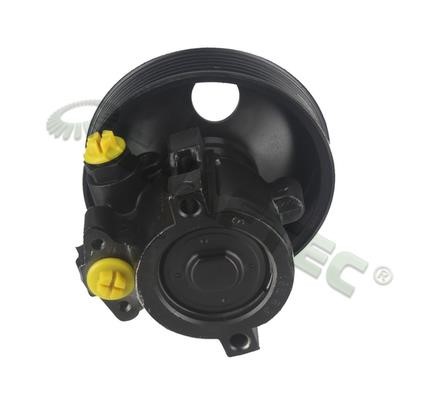 Shaftec HP1798 Hydraulic Pump, steering system HP1798: Buy near me in Poland at 2407.PL - Good price!