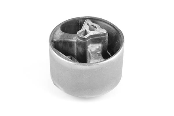 TedGum TED52384 Engine mount TED52384: Buy near me in Poland at 2407.PL - Good price!