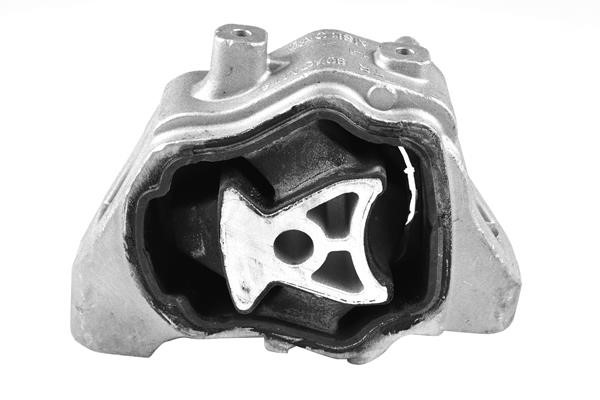 TedGum TED46974 Engine mount TED46974: Buy near me in Poland at 2407.PL - Good price!