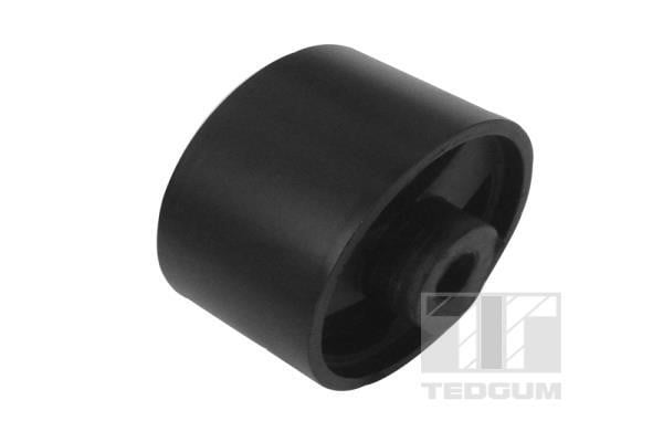 TedGum 00028545 Mounting, differential 00028545: Buy near me in Poland at 2407.PL - Good price!