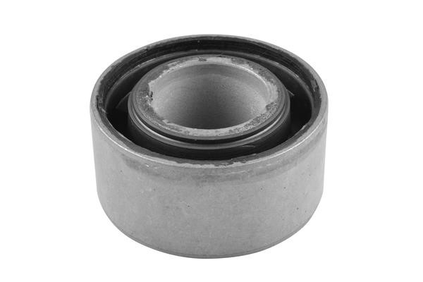 TedGum 00447818 Mounting, differential 00447818: Buy near me in Poland at 2407.PL - Good price!