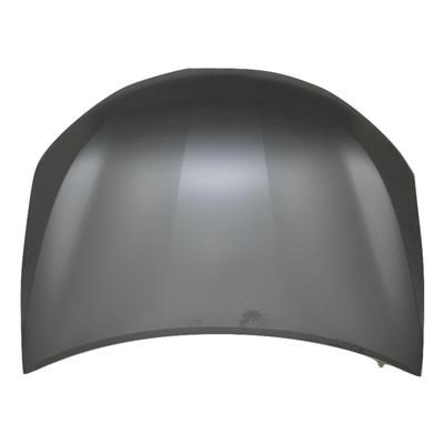 Toyota 53301-06160 Hood 5330106160: Buy near me in Poland at 2407.PL - Good price!