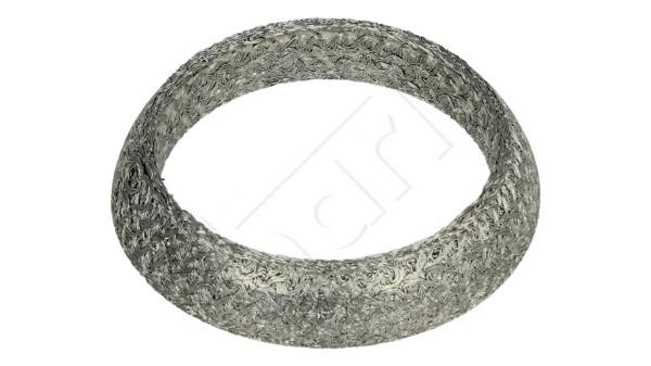 Hart 701 787 Exhaust pipe gasket 701787: Buy near me in Poland at 2407.PL - Good price!