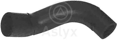 Aslyx AS-108166 Масляный шланг AS108166: Отличная цена - Купить в Польше на 2407.PL!