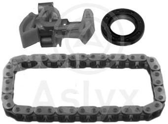 Aslyx AS-506242 Timing chain kit AS506242: Buy near me at 2407.PL in Poland at an Affordable price!