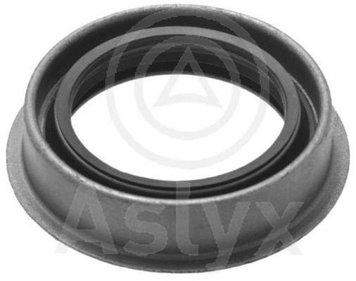 Aslyx AS-506217 Shaft Seal, differential AS506217: Buy near me in Poland at 2407.PL - Good price!