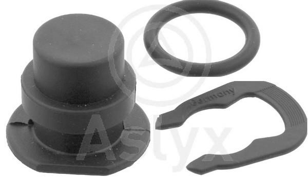 Aslyx AS-103540 Sealing Plug, coolant flange AS103540: Buy near me in Poland at 2407.PL - Good price!