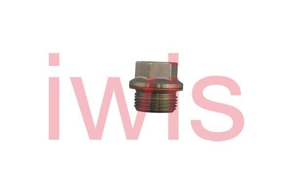 IWIS Motorsysteme 60244 Screw Plug, timing chain tensioner 60244: Buy near me in Poland at 2407.PL - Good price!