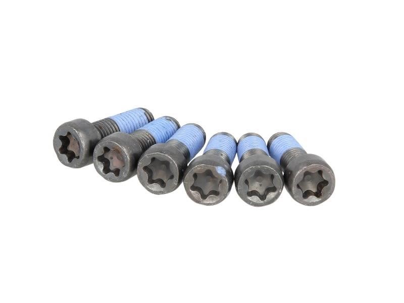 Luk 411 0169 10 Flywheel mounting bolts, kit 411016910: Buy near me at 2407.PL in Poland at an Affordable price!