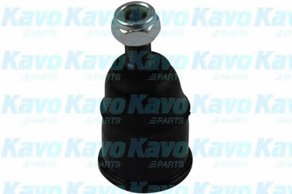 Купити Kavo parts SBJ-2001 за низькою ціною в Польщі!