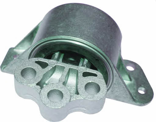 Birth 52189 Engine mount 52189: Buy near me in Poland at 2407.PL - Good price!
