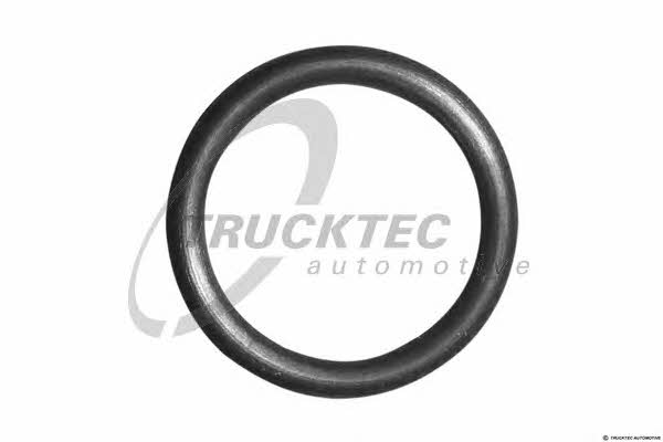 Trucktec 08.10.095 Turbine oil drain pipe gasket 0810095: Buy near me in Poland at 2407.PL - Good price!