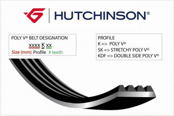 Hutchinson 1815 K 6 Pasek klinowy wielorowkowy 1815K6: Atrakcyjna cena w Polsce na 2407.PL - Zamów teraz!