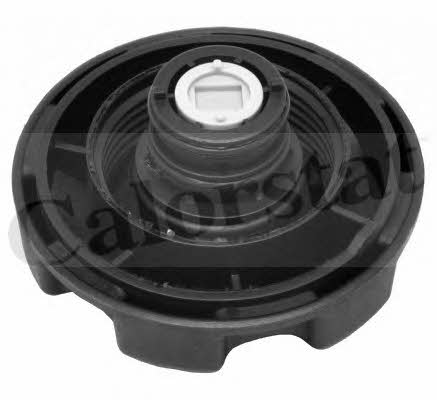 Vernet RC0087 Radiator caps RC0087: Buy near me at 2407.PL in Poland at an Affordable price!
