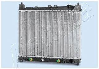 Ashika RDA153043 Радиатор охлаждения двигателя RDA153043: Отличная цена - Купить в Польше на 2407.PL!