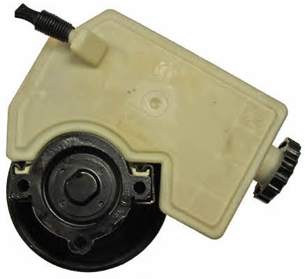 Lizarte 04.05.0413-1 Hydraulic Pump, steering system 040504131: Buy near me in Poland at 2407.PL - Good price!