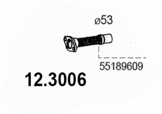 Asso 12.3006 Exhaust pipe 123006: Buy near me in Poland at 2407.PL - Good price!