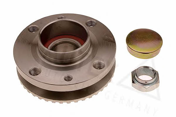 Autex 810065 Wheel bearing kit 810065: Buy near me in Poland at 2407.PL - Good price!