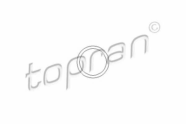 Topran 202 327 Exhaust Gas Recirculation Valve Gasket 202327: Buy near me in Poland at 2407.PL - Good price!