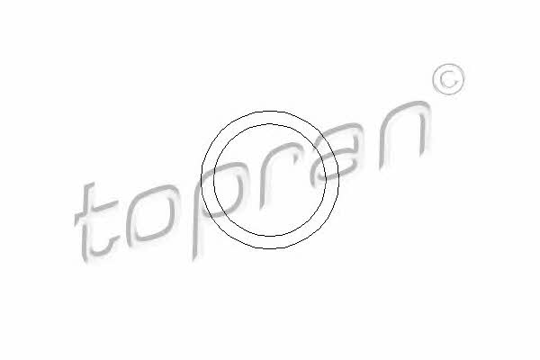 Topran 207 484 Прокладка термостата 207484: Купить в Польше - Отличная цена на 2407.PL!