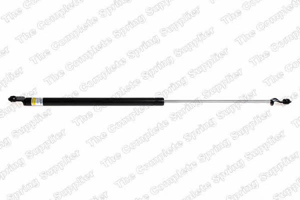 ROC GS0250 Gas Spring, boot-/cargo area GS0250: Buy near me at 2407.PL in Poland at an Affordable price!
