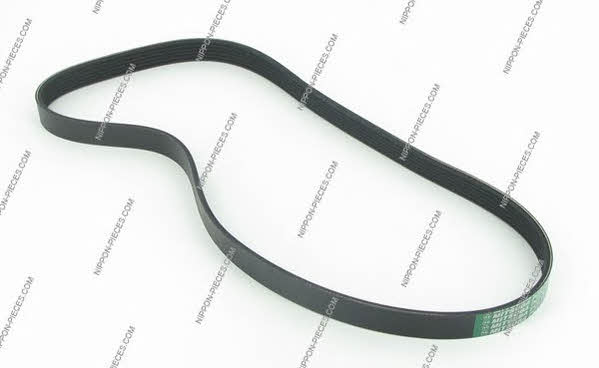 Nippon pieces M111A21 V-Ribbed Belt M111A21: Buy near me at 2407.PL in Poland at an Affordable price!
