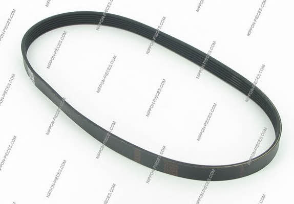 Nippon pieces M111I66 V-Ribbed Belt M111I66: Buy near me in Poland at 2407.PL - Good price!