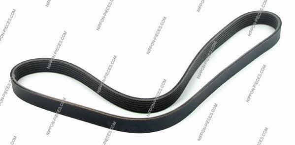 Nippon pieces T111A64 V-Ribbed Belt T111A64: Buy near me in Poland at 2407.PL - Good price!