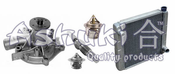 Ashuki 0459-6002 Thermostat, coolant 04596002: Buy near me in Poland at 2407.PL - Good price!