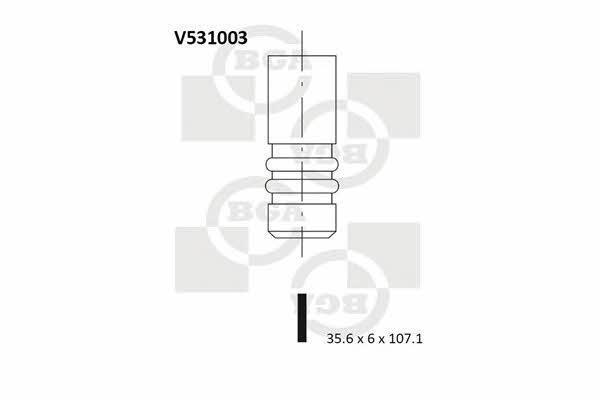 BGA V531003 Intake valve V531003: Buy near me in Poland at 2407.PL - Good price!