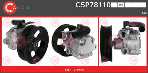Casco CSP78110GS Насос гідропідсилювача керма CSP78110GS: Приваблива ціна - Купити у Польщі на 2407.PL!