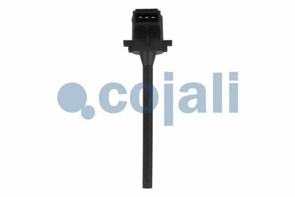 Cojali 2260396 Washer fluid level sensor 2260396: Buy near me in Poland at 2407.PL - Good price!