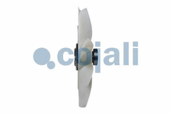 Buy Cojali 7085107 at a low price in Poland!