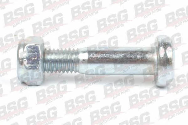 BSG 30-230-036 Track Control Arm 30230036: Buy near me in Poland at 2407.PL - Good price!