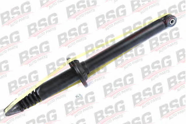 BSG 30-300-024 Rear oil and gas suspension shock absorber 30300024: Buy near me in Poland at 2407.PL - Good price!