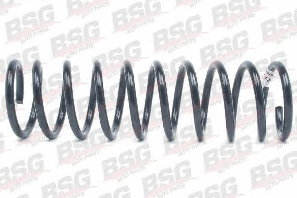BSG 30-305-016 Coil Spring 30305016: Buy near me in Poland at 2407.PL - Good price!