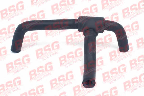 BSG 30-720-069 Breather Hose for crankcase 30720069: Buy near me in Poland at 2407.PL - Good price!