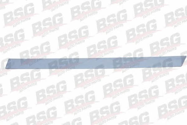 BSG 65-924-003 Trim/Protective Strip, door 65924003: Buy near me in Poland at 2407.PL - Good price!